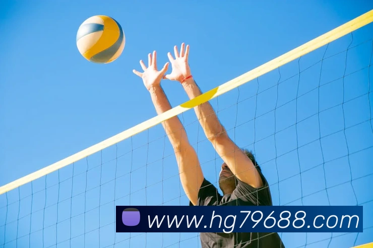 多媒体互动体验